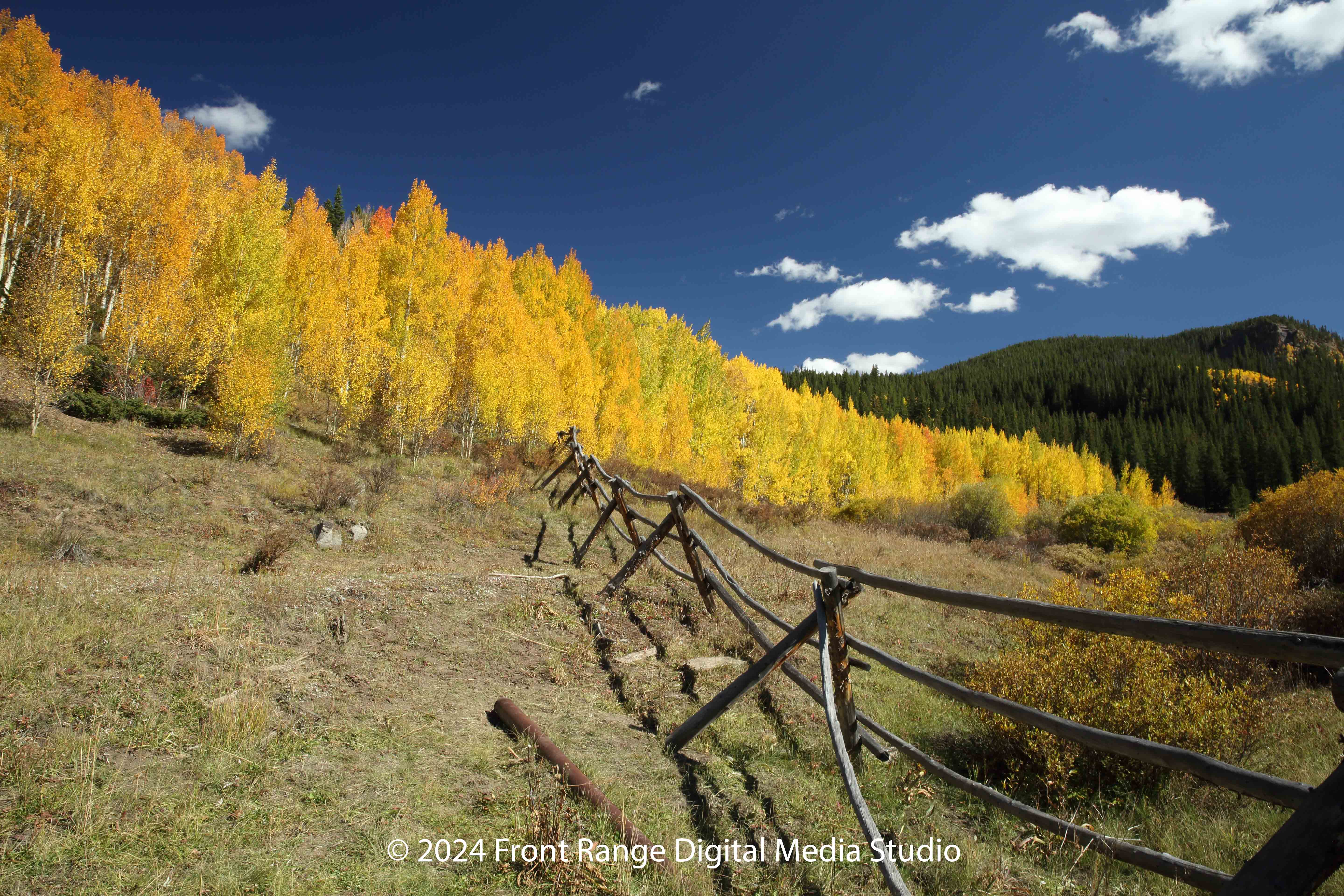 Breckenridge fall fence