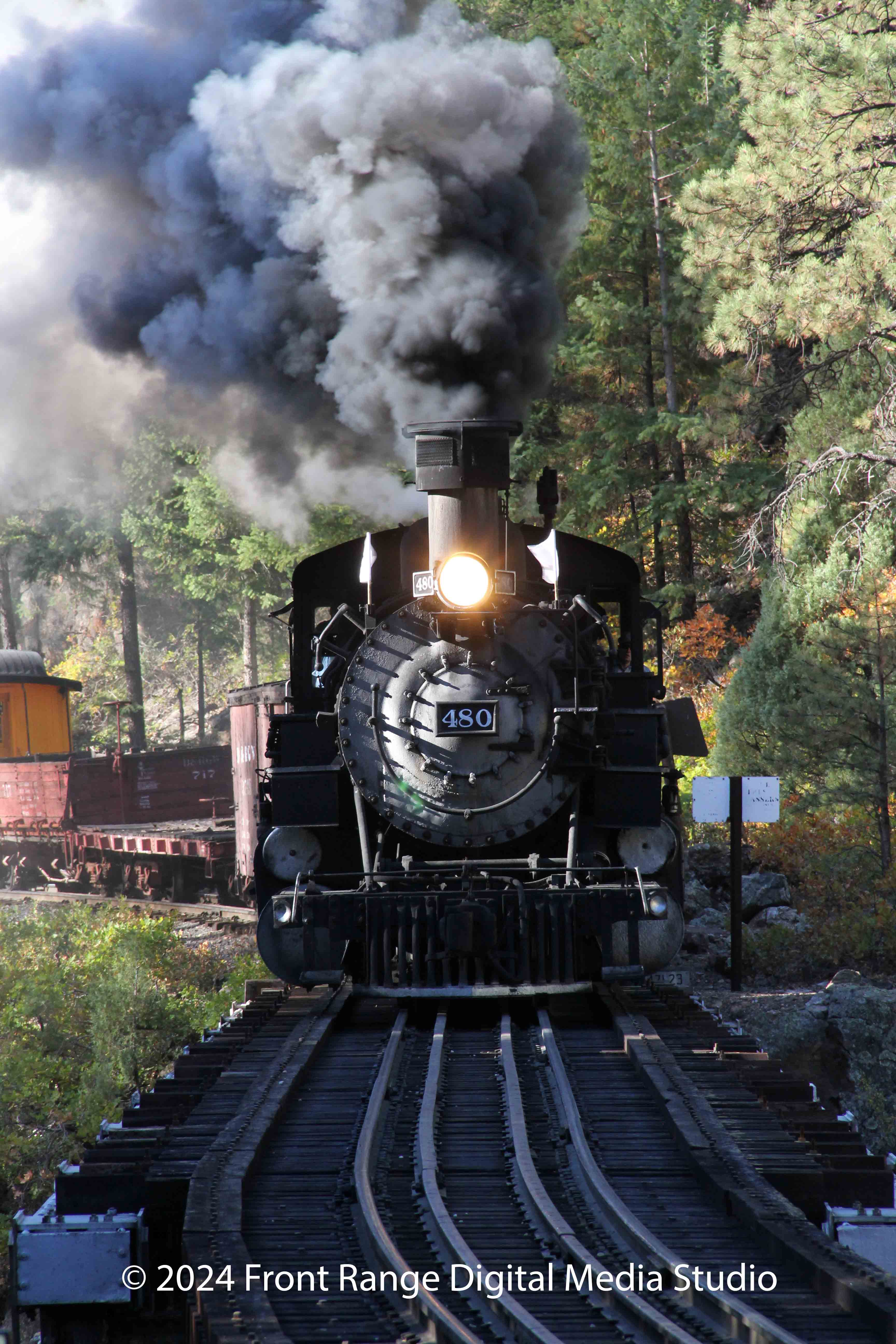 Train Approaching Bridge